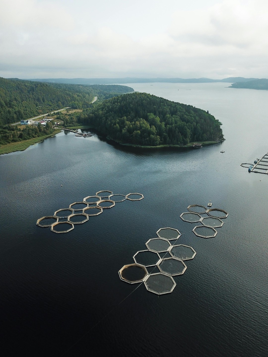 Aquaculture Industry