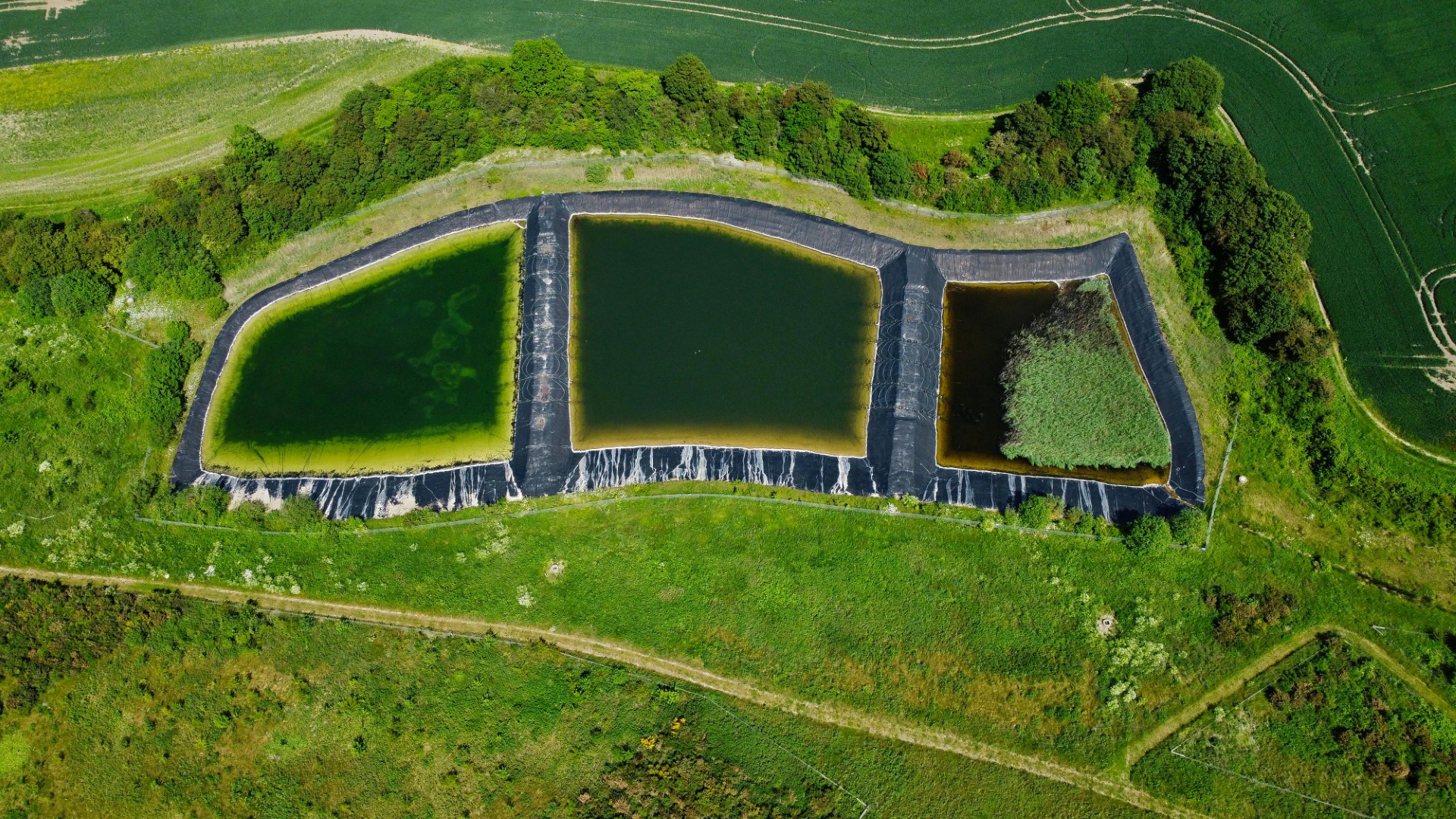 Water Management Industry