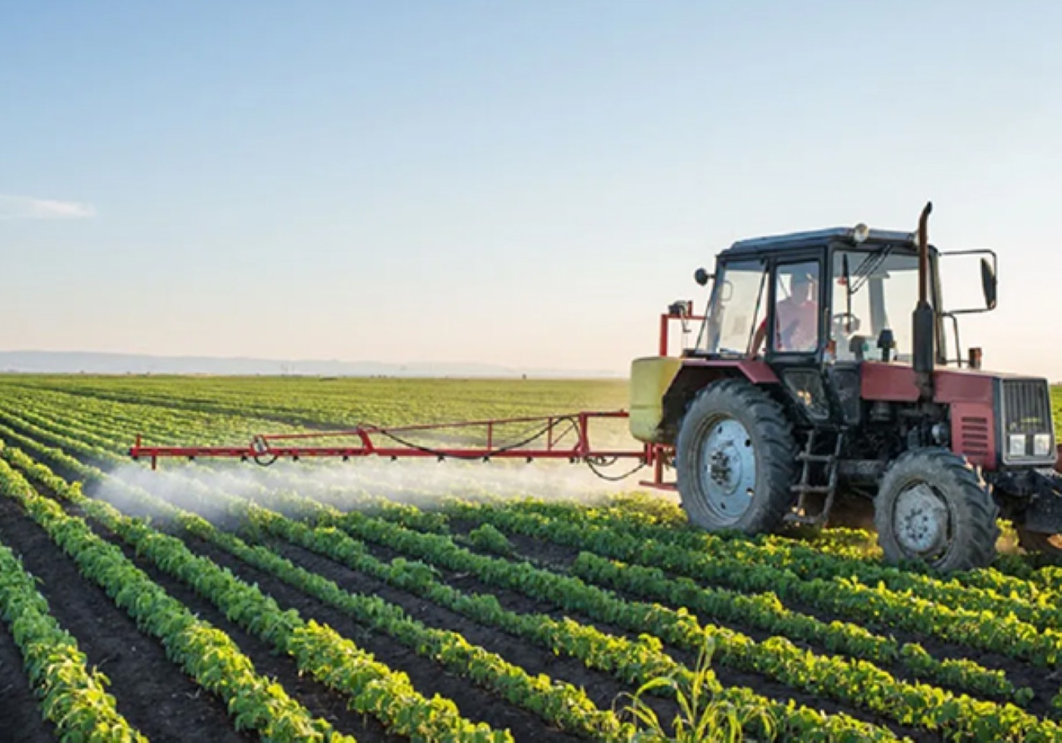 Agrochemical Industry