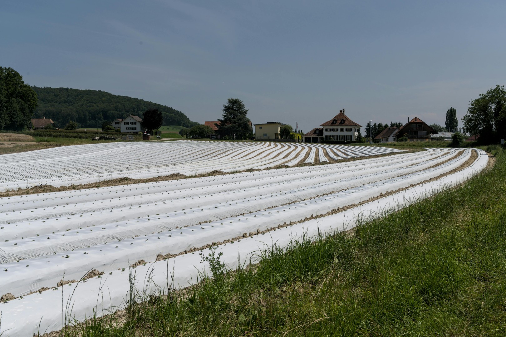 Agriculture Industry
